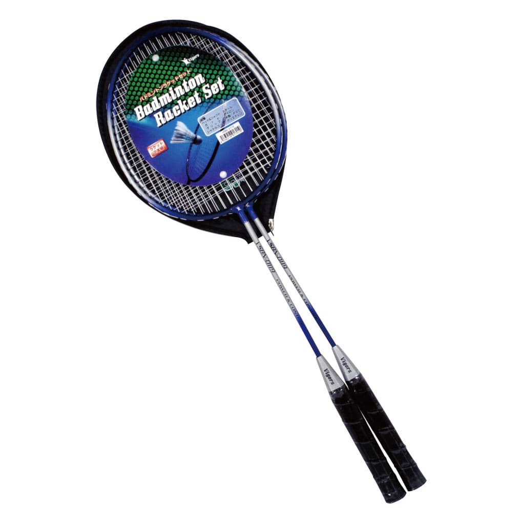 レビューを書けば送料当店負担 レザックス ビガース VSTN-6753 6754 軟式 硬式テニスラケット